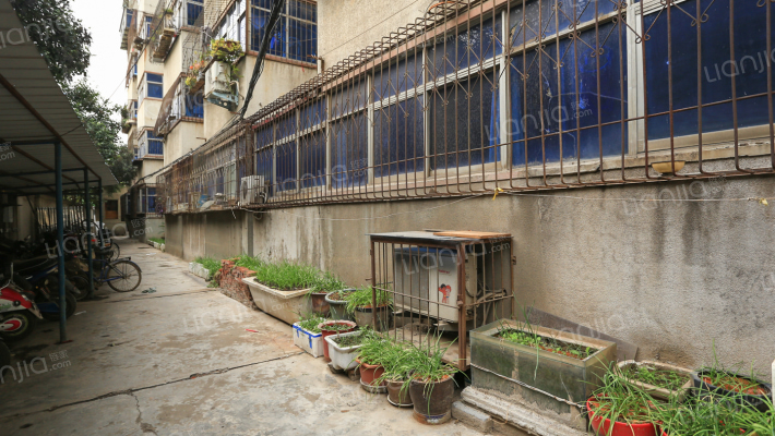 桐柏南路38号院外景图