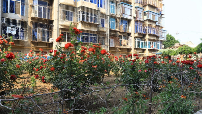 民和小区(响泉街)外景图