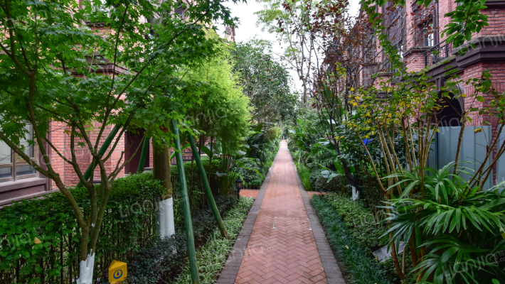 国博台南区外景图