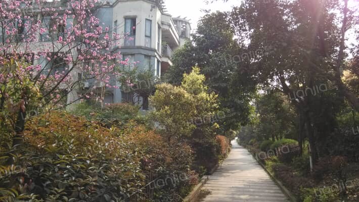 圣马寻常人家外景图