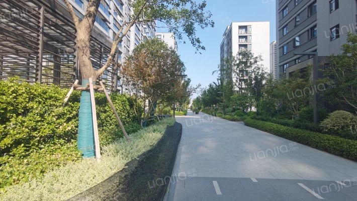 虹云之城外景图