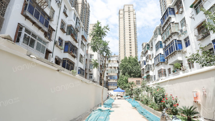 桐柏路223-234号外景图