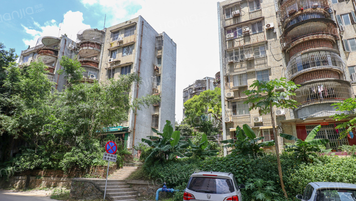 水松花园外景图