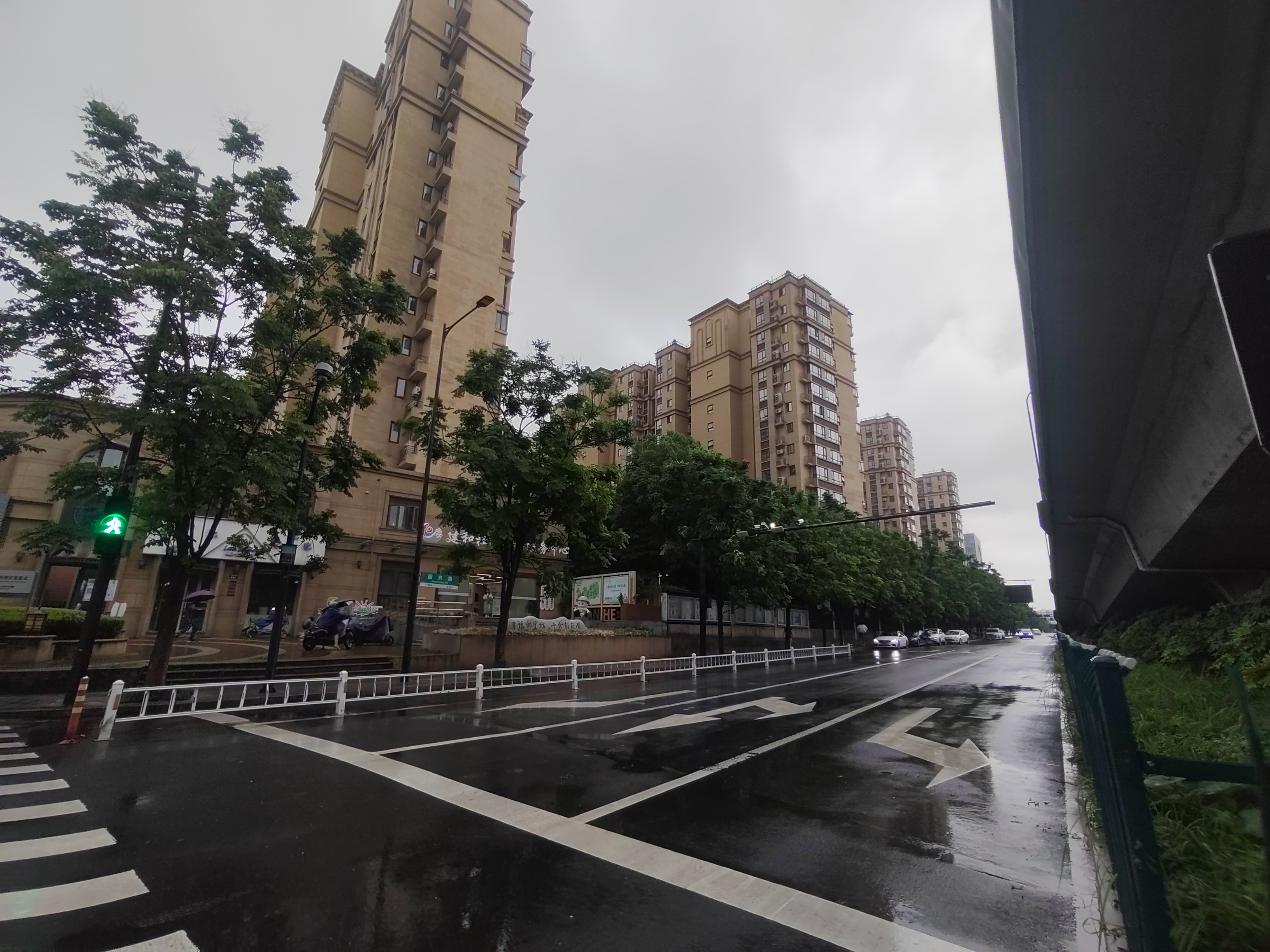 世茂东壹号（茂悦府）小区实景 3