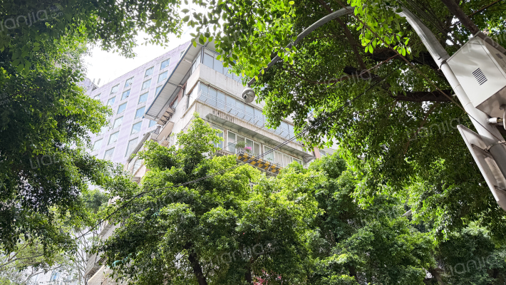 白岩二支路外景图