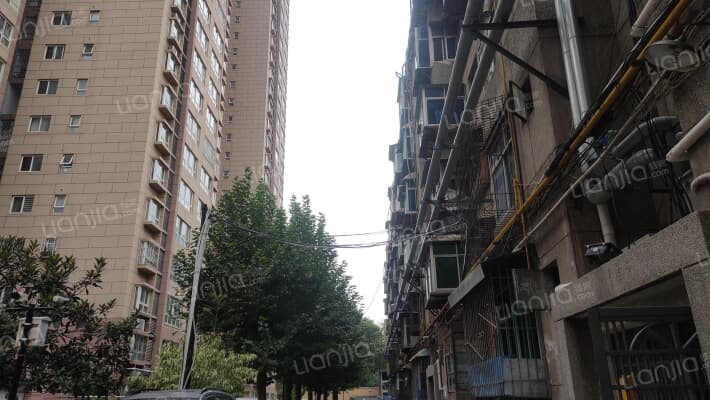 西电西容桃园小区外景图