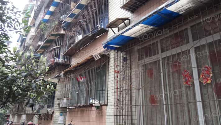 金琴路14号外景图