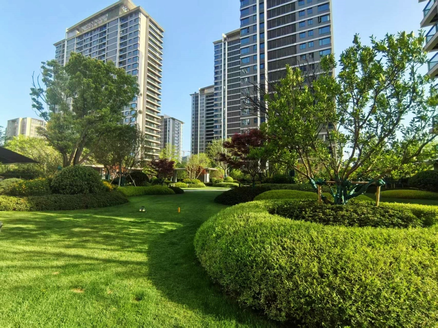 杭珹未来中心小区实景 22