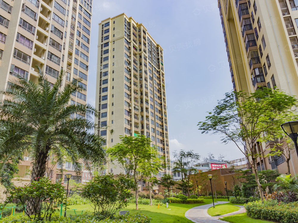 光明花半里相册