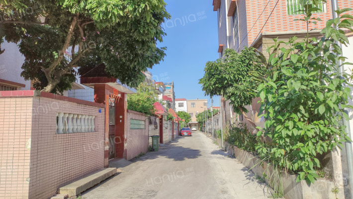 港口镇西大街237号外景图