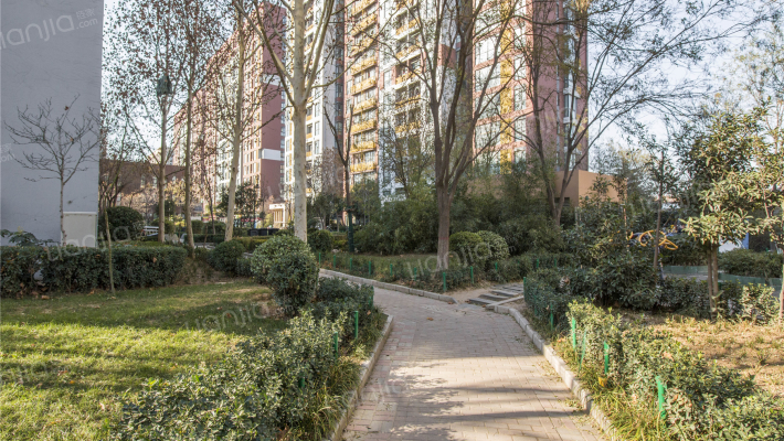 橄榄城柏林阳光外景图