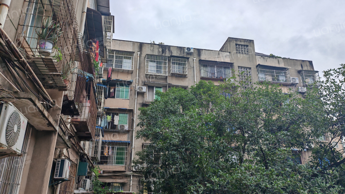 中街88号外景图