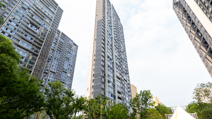 绿城武汉诚园外景图