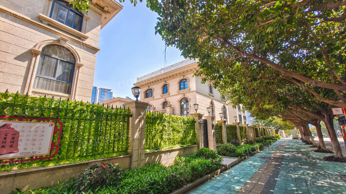 大洲龙墅尚品外景图