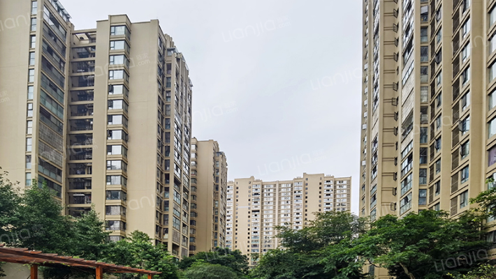 新神风八座外景图