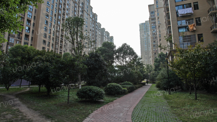 南湖名都B区外景图