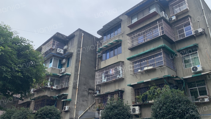 安仁街65号外景图