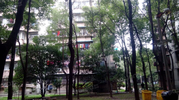 安居苑C区外景图