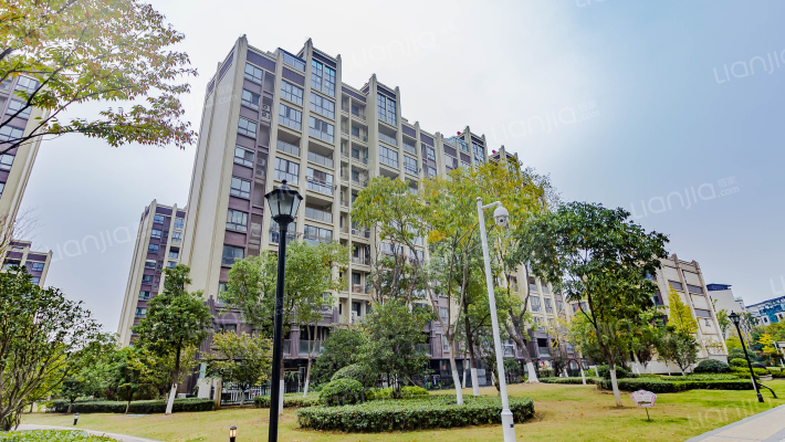 亚东紫檀外景图