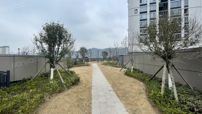 未来方舟C1组团外景图