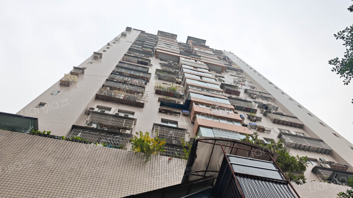 王牌路68号外景图