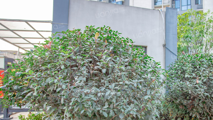 美麓阳光外景图