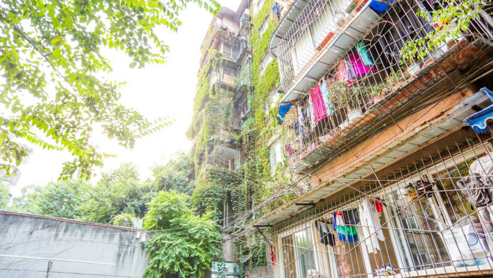 莲花新区北二巷4号外景图