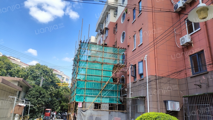 桃浦五村杜鹃苑外景图