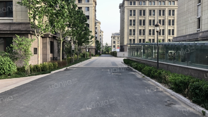 中交金梧桐公馆外景图