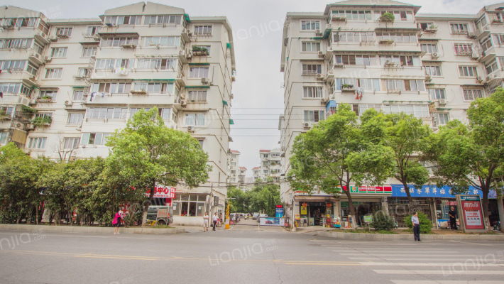 桃苑大街173号外景图