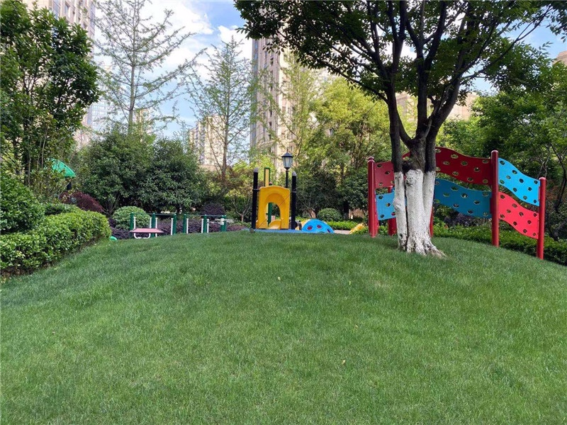 世贸天玑小区实景 8