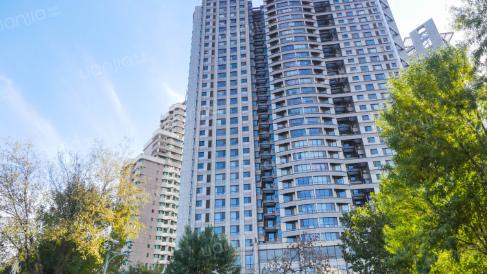 赛顿大厦外景图