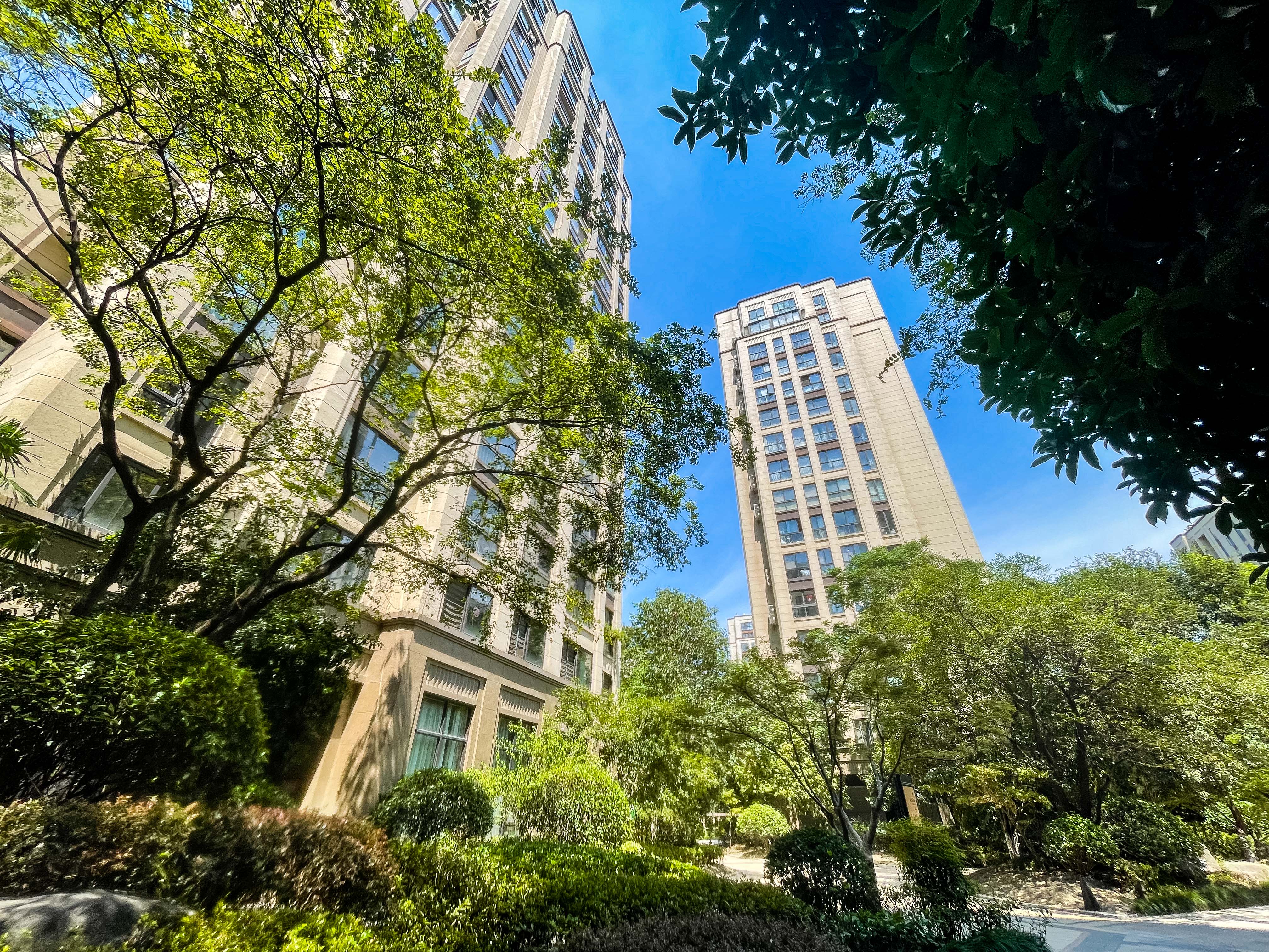 德信·东望府小区实景 14