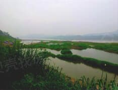 珠江城实景图