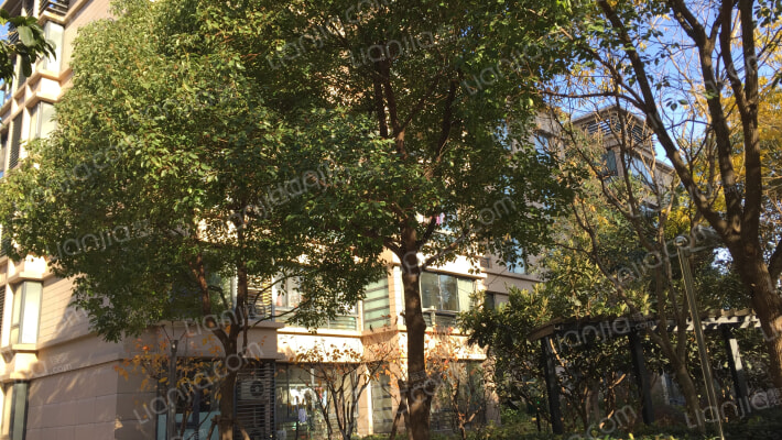 复城国际(公寓)外景图