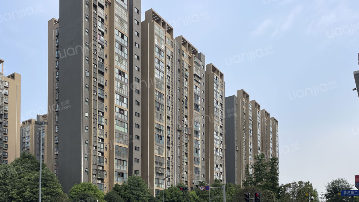 南湖春天外景图