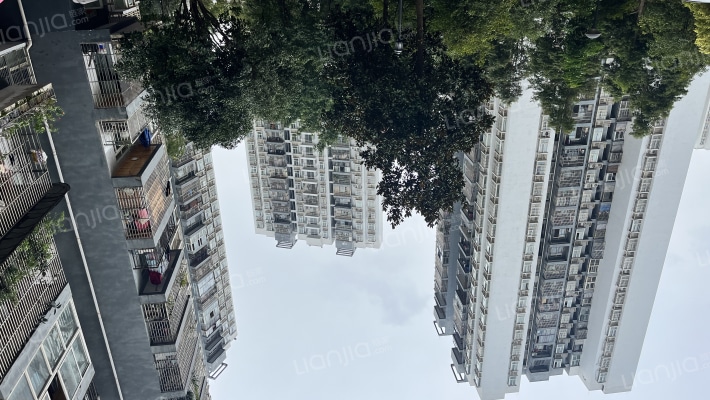 麒雅中央花园B区外景图