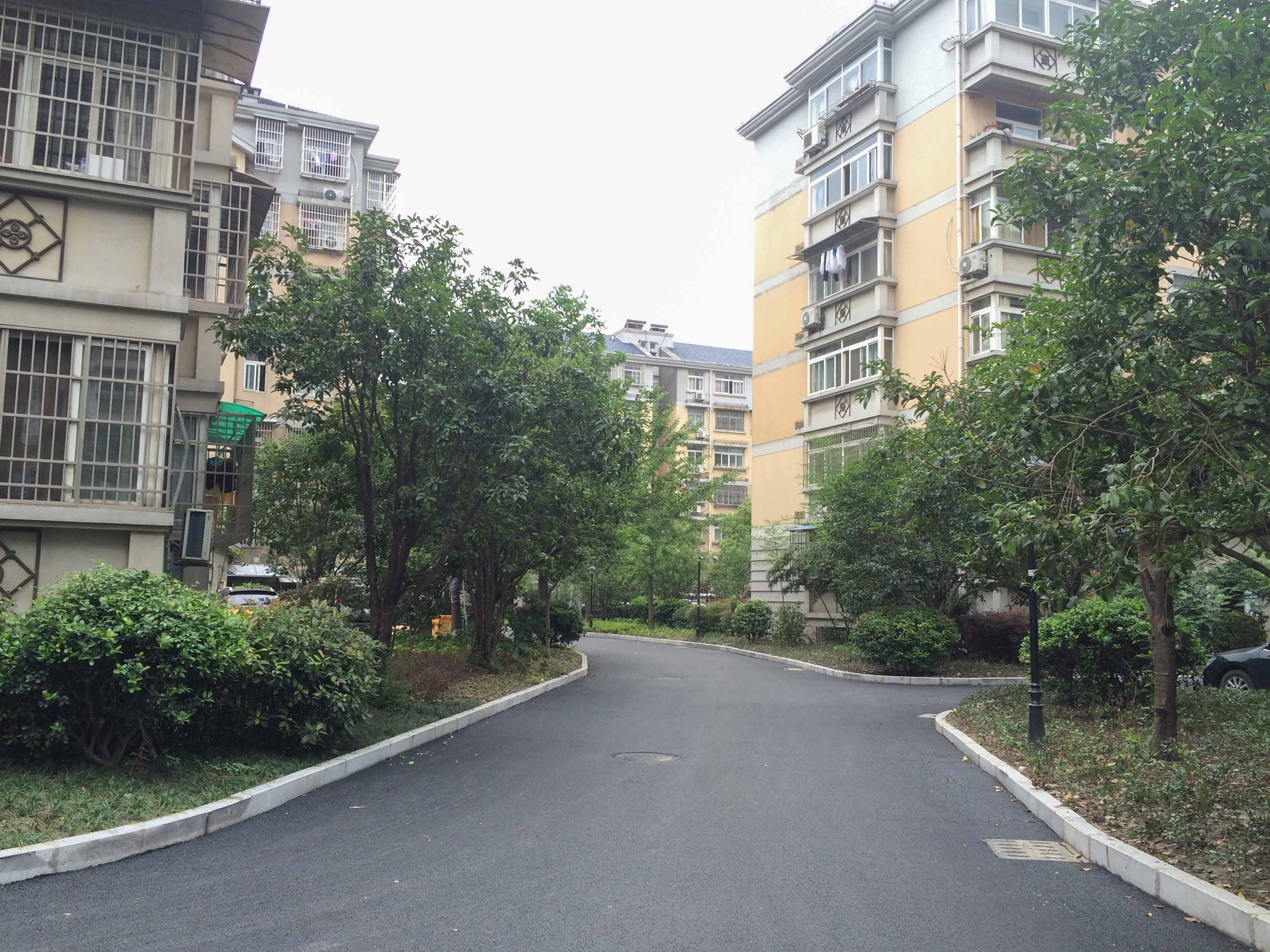 迎春小区小区实景 5