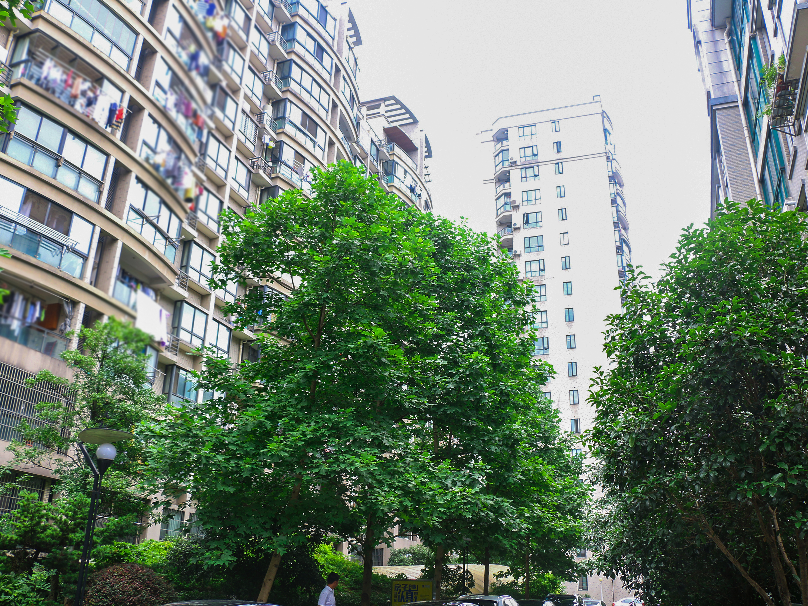 天成嘉苑小区实景 10