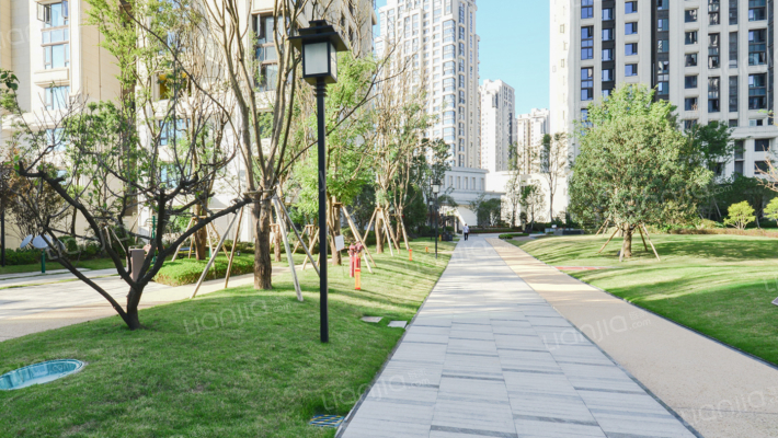 鲁能城中央公馆三期外景图