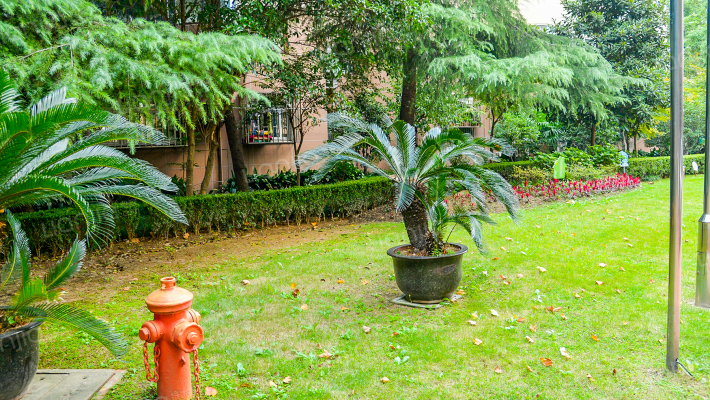 中汇花园(徐汇)外景图