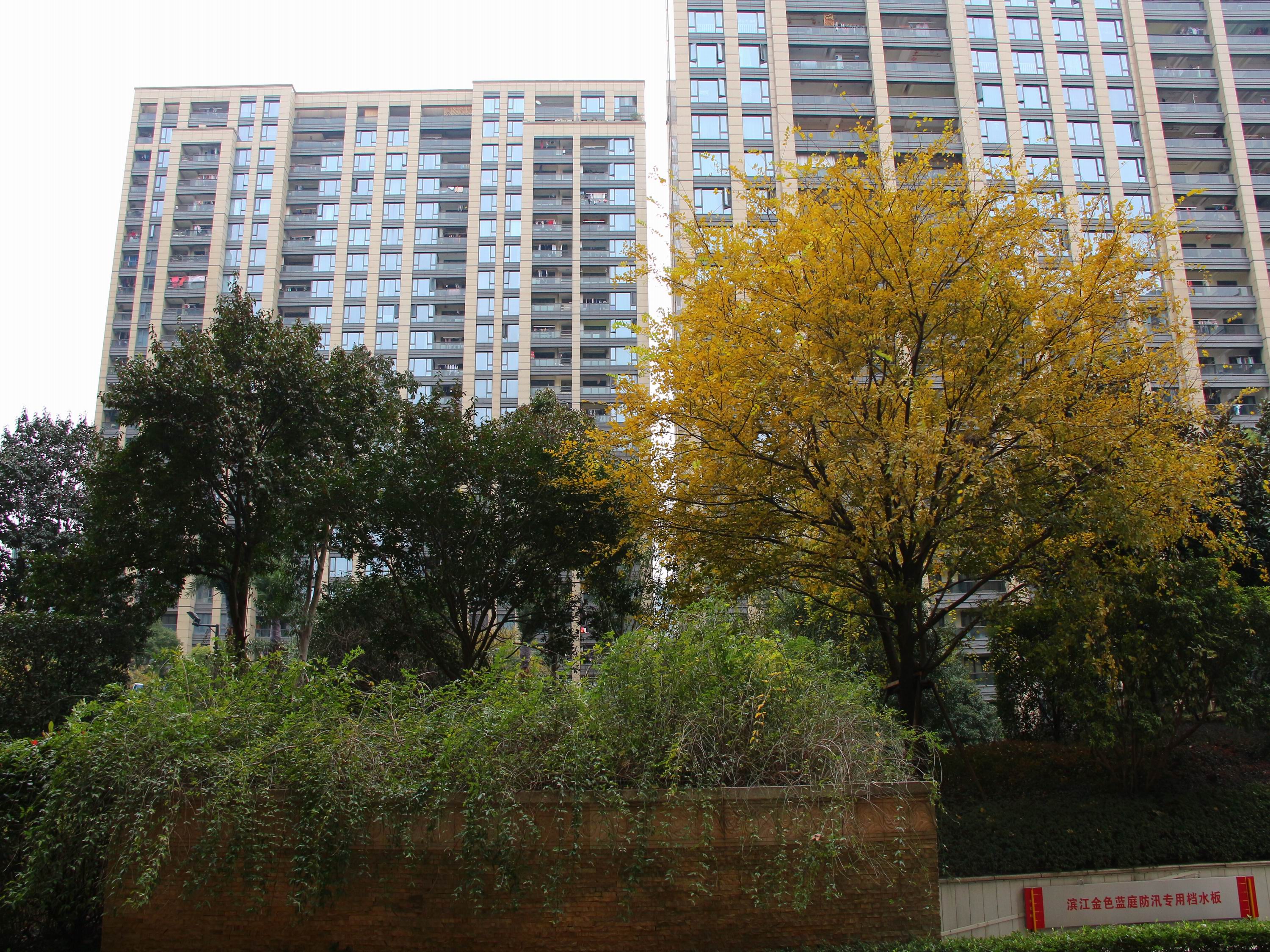 金色蓝庭小区实景 17
