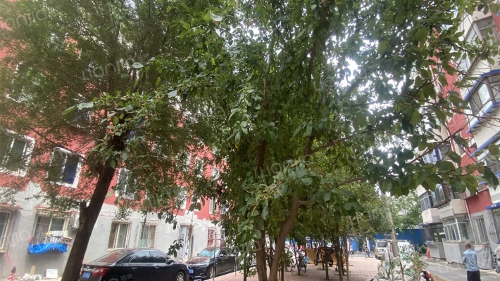 防疫站小区外景图