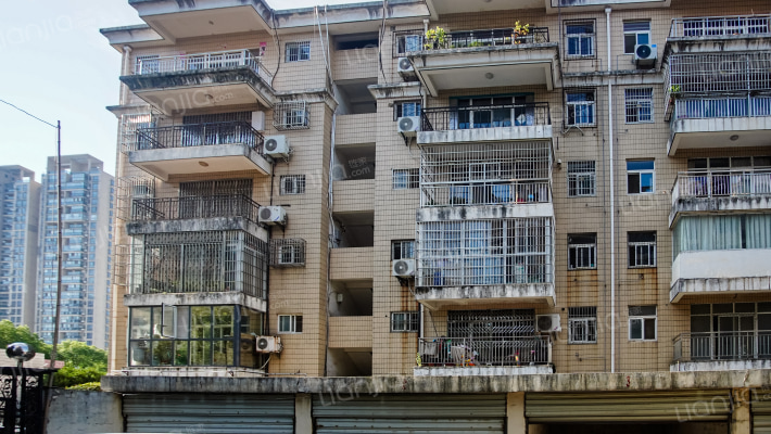 蔡甸大街233号外景图