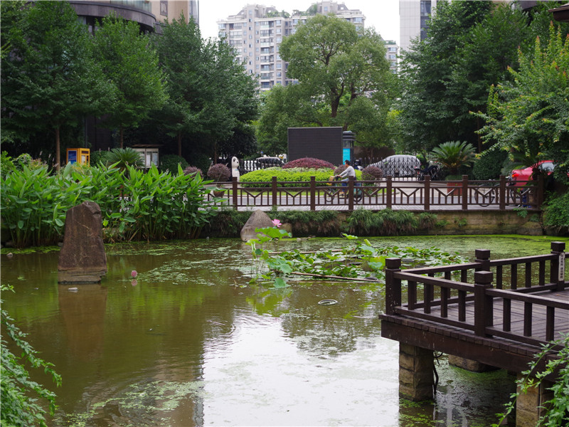 耀江文鼎苑 小区实景 40