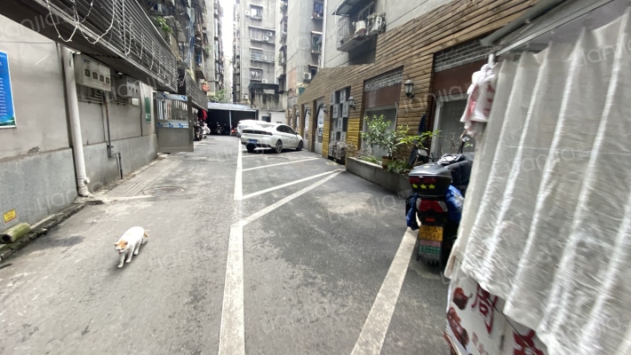 东街31号建工局宿舍外景图