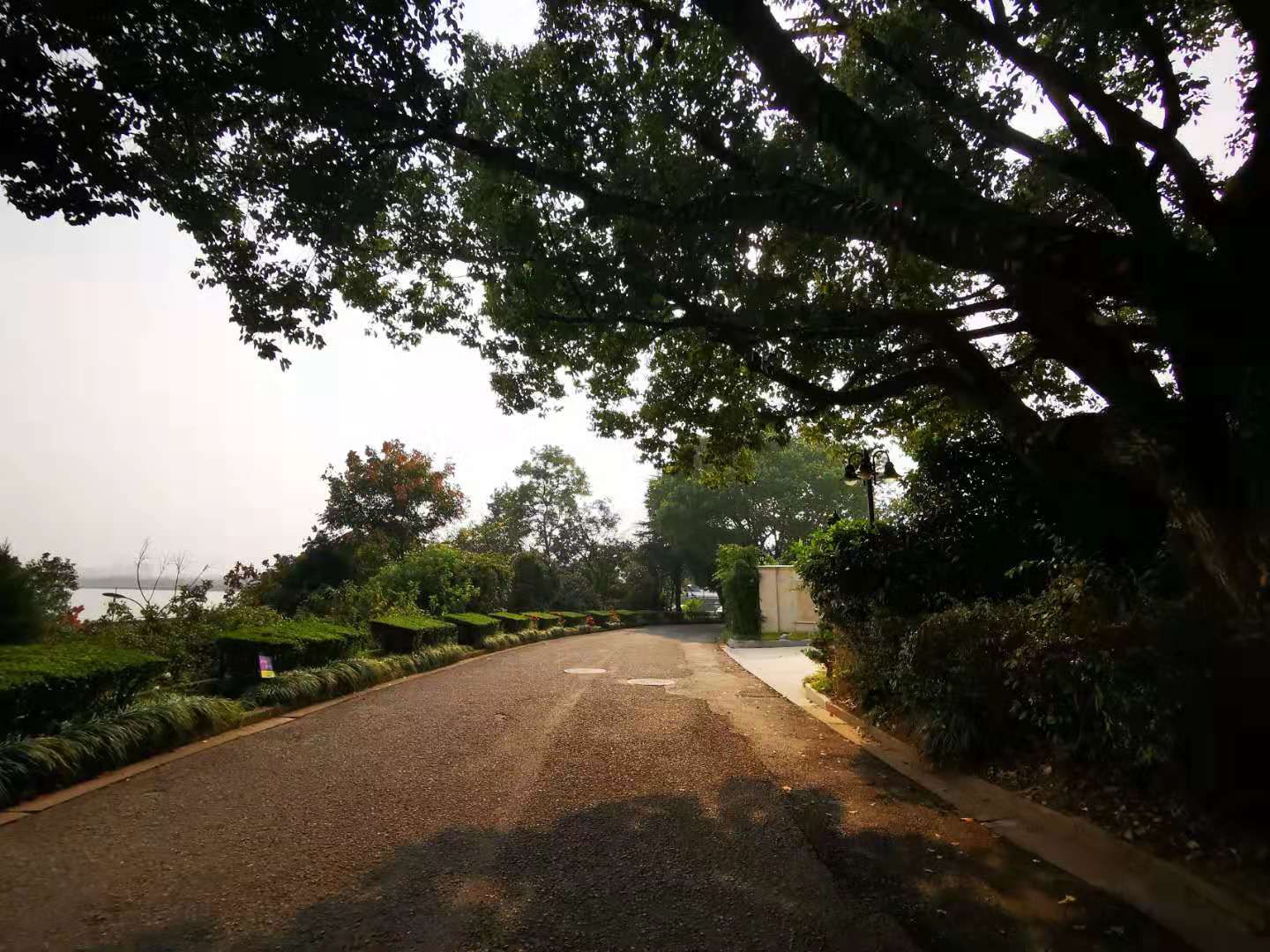 Jiuxi Rose Garden  compound photo 16
