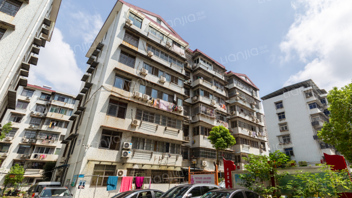 长青东村外景图