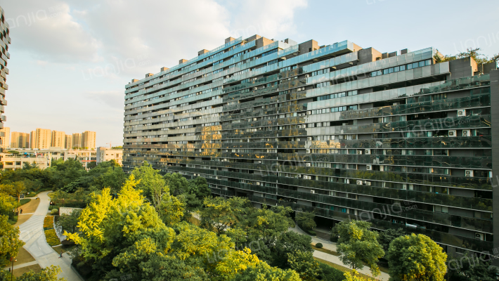 新中宇维萨外景图