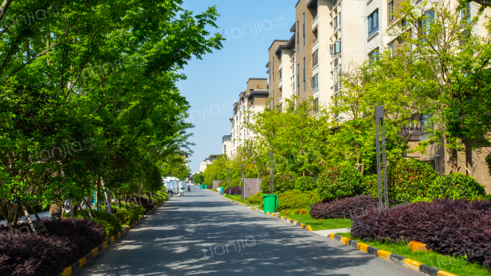 碧桂园新城樾林苑外景图